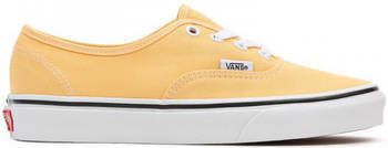 Vans Skateschoenen Authentic